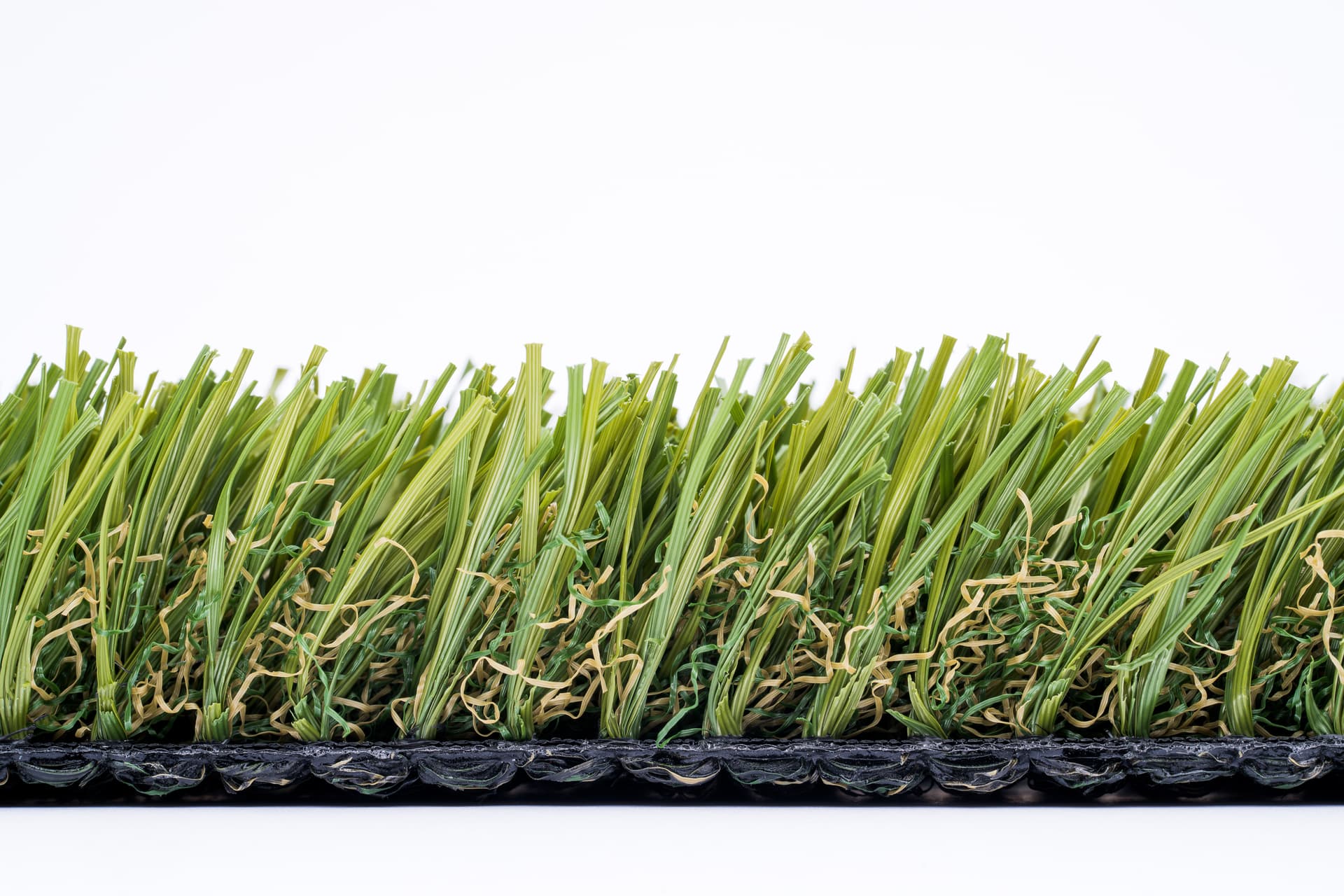 Summer Fescue